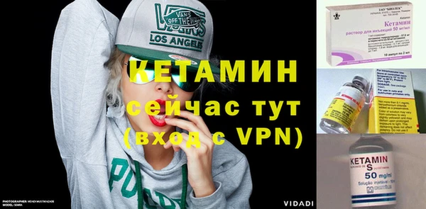 сатива Вязьма
