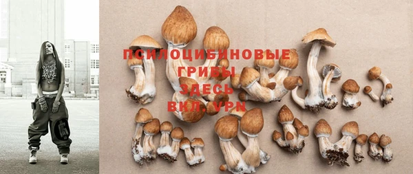 герыч Вязники