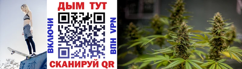 darknet как зайти Павловская Бошки Шишки план